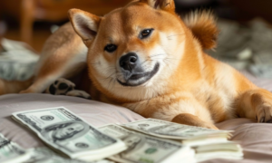 How Much Your 50M, 100M, or 500M Shiba Inu Could Be Worth if SHIB Reaches Its All-Time High Again